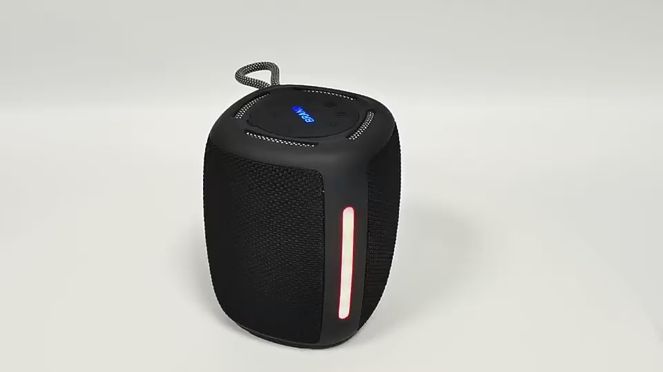 Bocina portátil BTS-1981